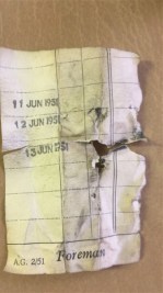 MG td 5 giorni della produzione (1)